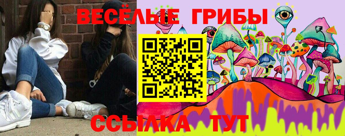 Галлюциногенные грибы Psilocybe  продажа наркотиков  Воткинск  Псилоцибиновые грибы Magic Shrooms  Вход с VPN 